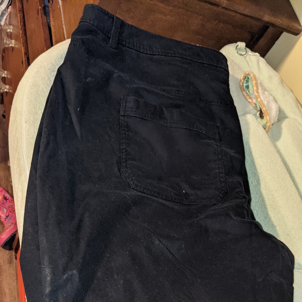 Lane Bryant black shorts